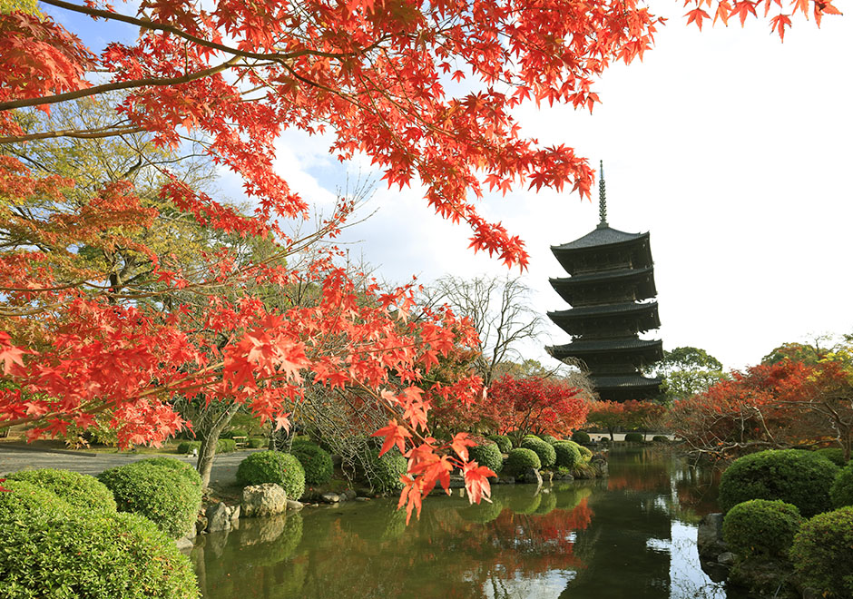 京都東寺